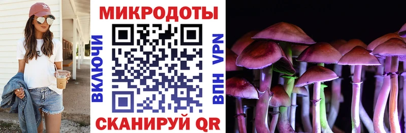 Галлюциногенные грибы Psilocybe  Купить где  Сретенск 
